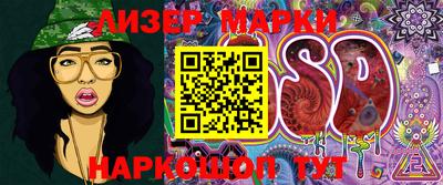 стафф Берёзовский