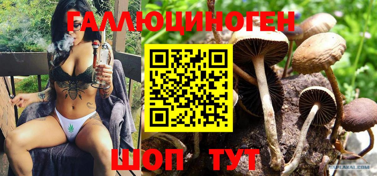 Ижевск  Галлюциногенные грибы мухоморы  Вход с VPN  Галлюциногенные грибы мицелий 